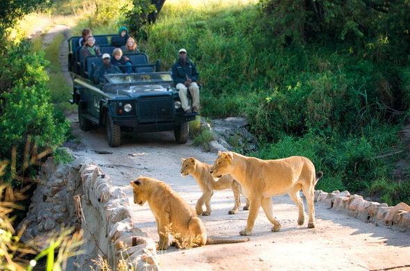 Kruger Park 401 Vakantiehuis Hazyview